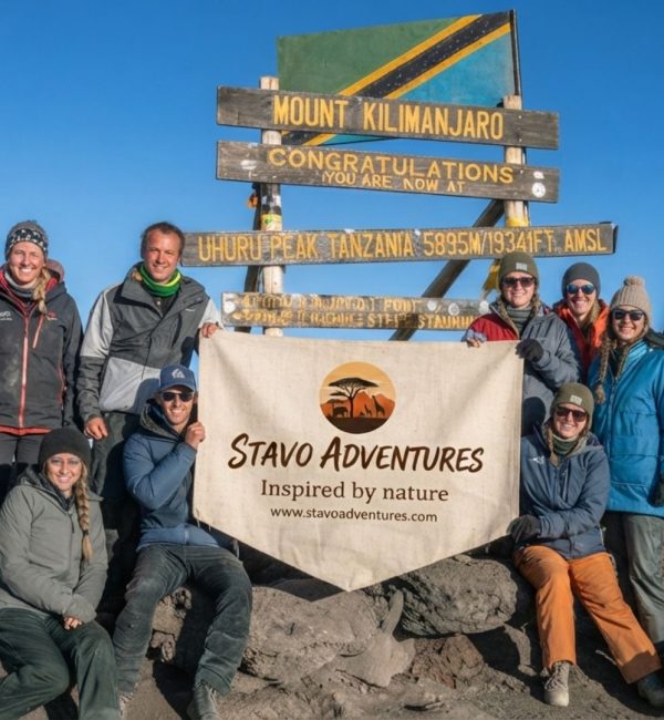 Stavo Adventure Kilimanjaro