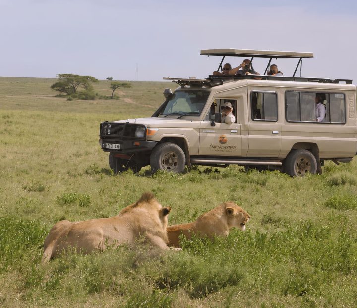 Tanzania Wildlife Safaris