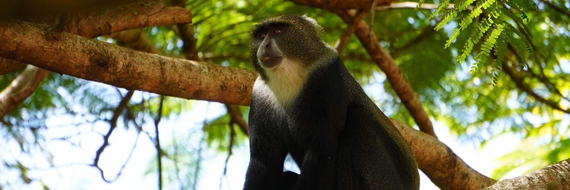 arusha national park
